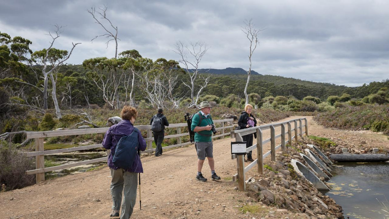 Maria Island National Park - Premium Private Photo - Oriented Day Tour - We Wander