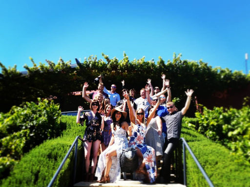 Mclaren Vale Gin & Wine Tour - We Wander