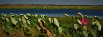 Mikinj Valley (Red Lily Arnhem Land Sightseeing Day Tour (Ex Jabiru) - We Wander
