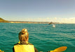 Noosa Private Day Tour - Double Island Point Wildlife Adventure - We Wander