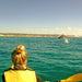 Noosa Private Day Tour - Double Island Point Wildlife Adventure - We Wander