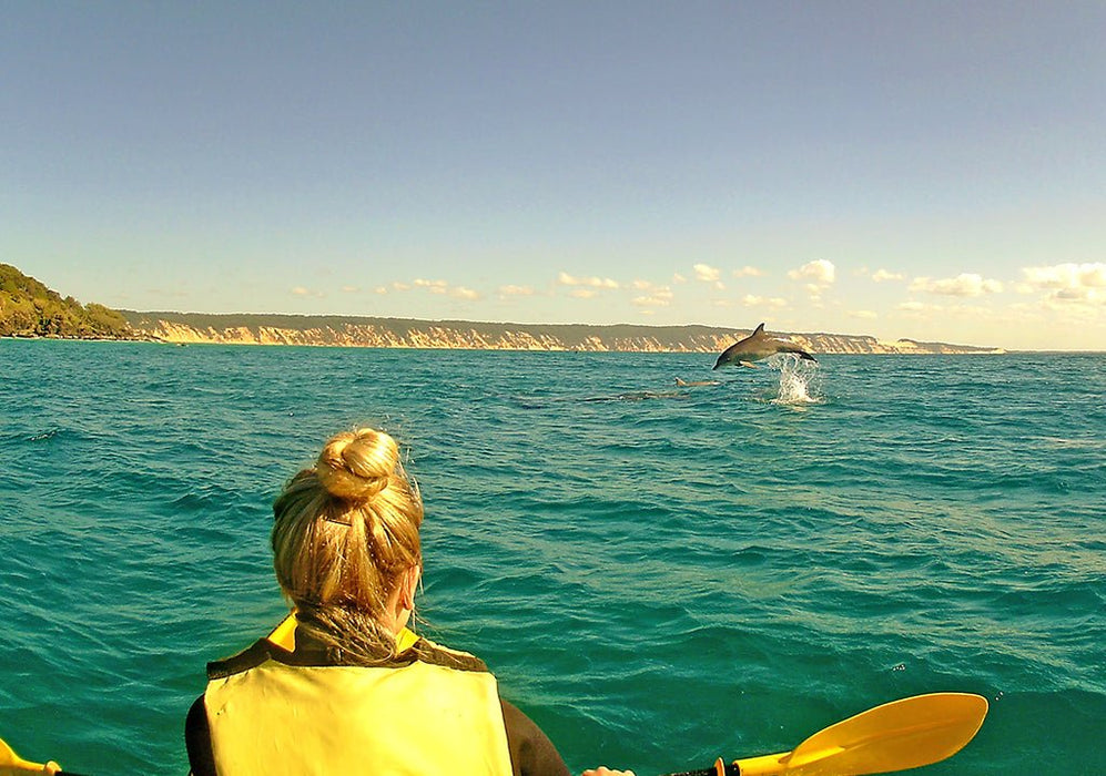 Noosa Private Day Tour - Double Island Point Wildlife Adventure - We Wander