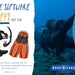 Open Water Diver Course - We Wander