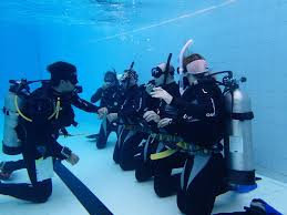 Open Water Diver Course - We Wander