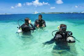 Open Water Diver Course - We Wander