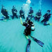 Open Water Diver Course - We Wander