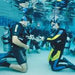 Open Water Diver Course - We Wander