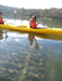 Oyster Tasting Kayak Tour - Batemans Bay - We Wander