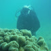 Padi Open Water Course - We Wander