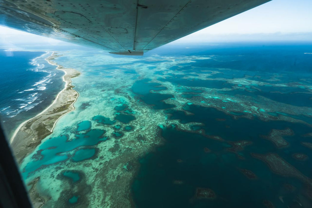 Pink Lake And Abrolhos Islands - Half Day Tour - We Wander