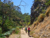Premium Bike Tour - We Wander
