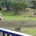 Private Boutique Hunter Valley Winery Tour Full Day 3 People Includes Delicious Lunch - We Wander