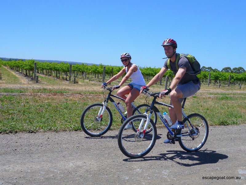 Ride And Wine Tour - We Wander