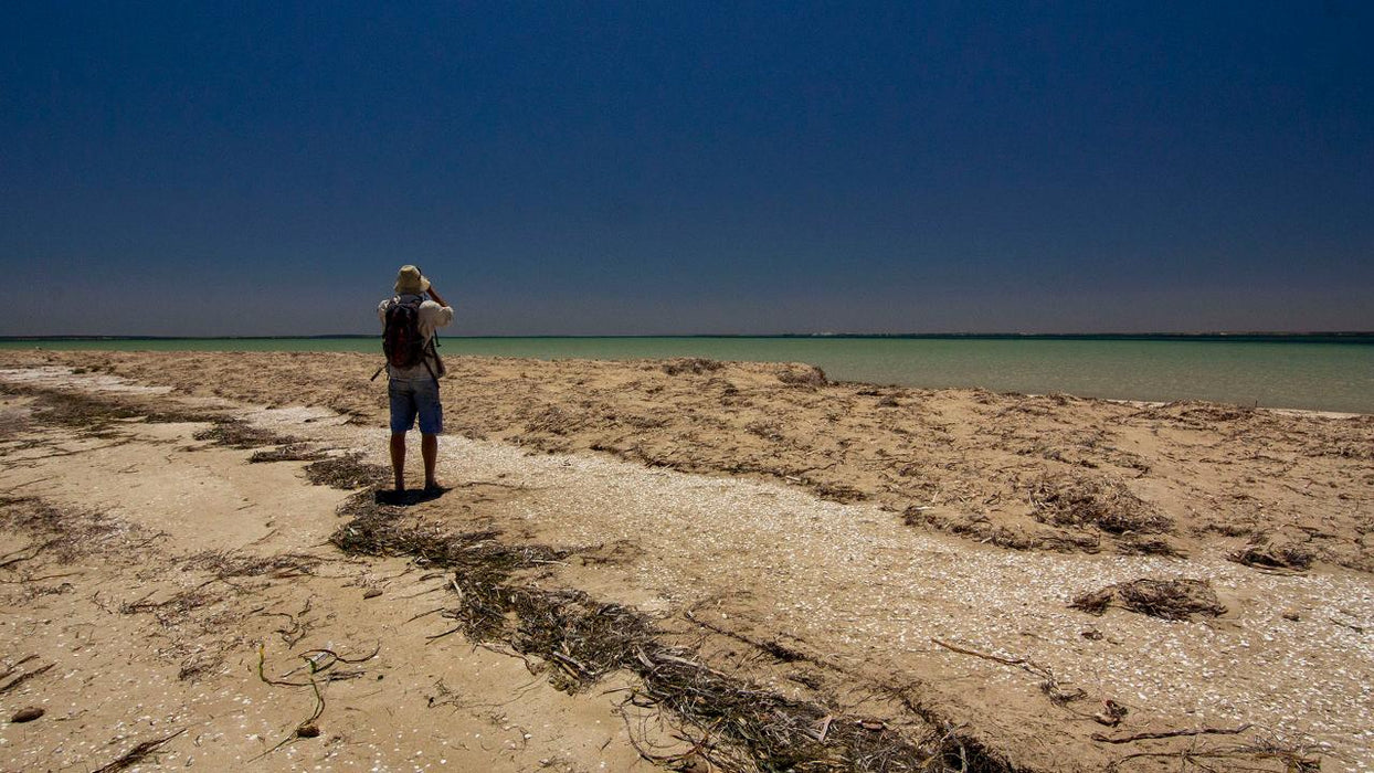 Sea And Sand Coastline Tour - We Wander