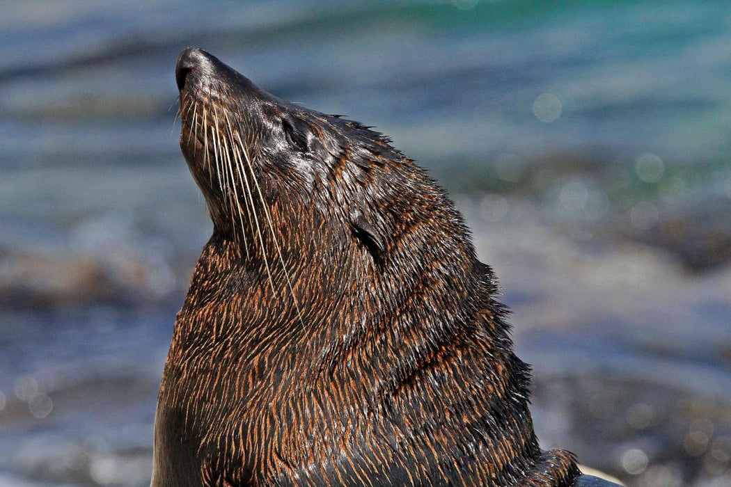 Self Guided E - Bike Tour - Pedal To Produce Series - Wildlife And Coastal Trail - We Wander