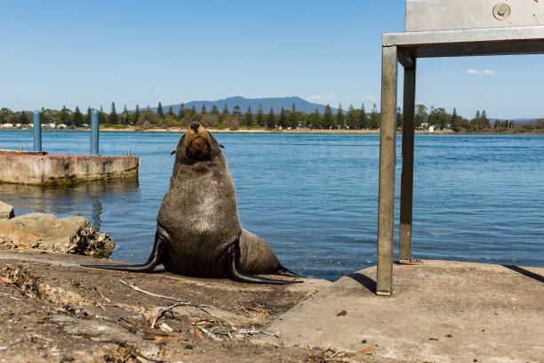 Self Guided E - Bike Tour - Pedal To Produce Series - Wildlife And Coastal Trail - We Wander