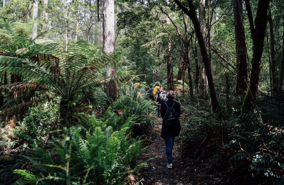 Shore Excursion - Bruny Island Day Tour - We Wander