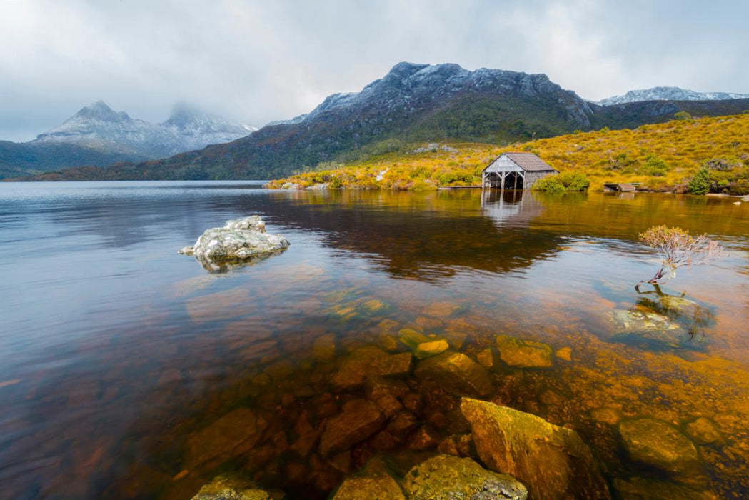 Shore Excursion - Cradle Mountain Day Tour - We Wander