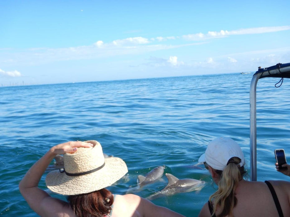 Snorkel With The Turtles In A Private Boat - We Wander