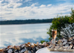 Oyster Farm Shuck And Chat