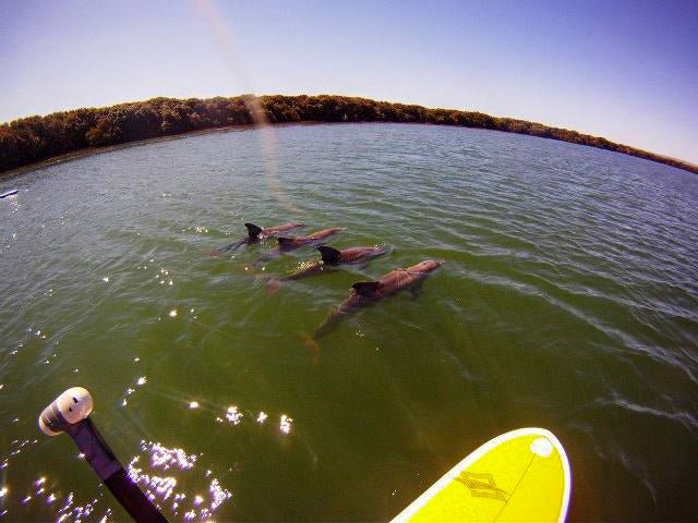 Stand Up Paddle Board Hire - We Wander