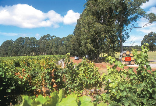 Swan Valley, Wildlife Park, Winery & Fruit Orchard - We Wander