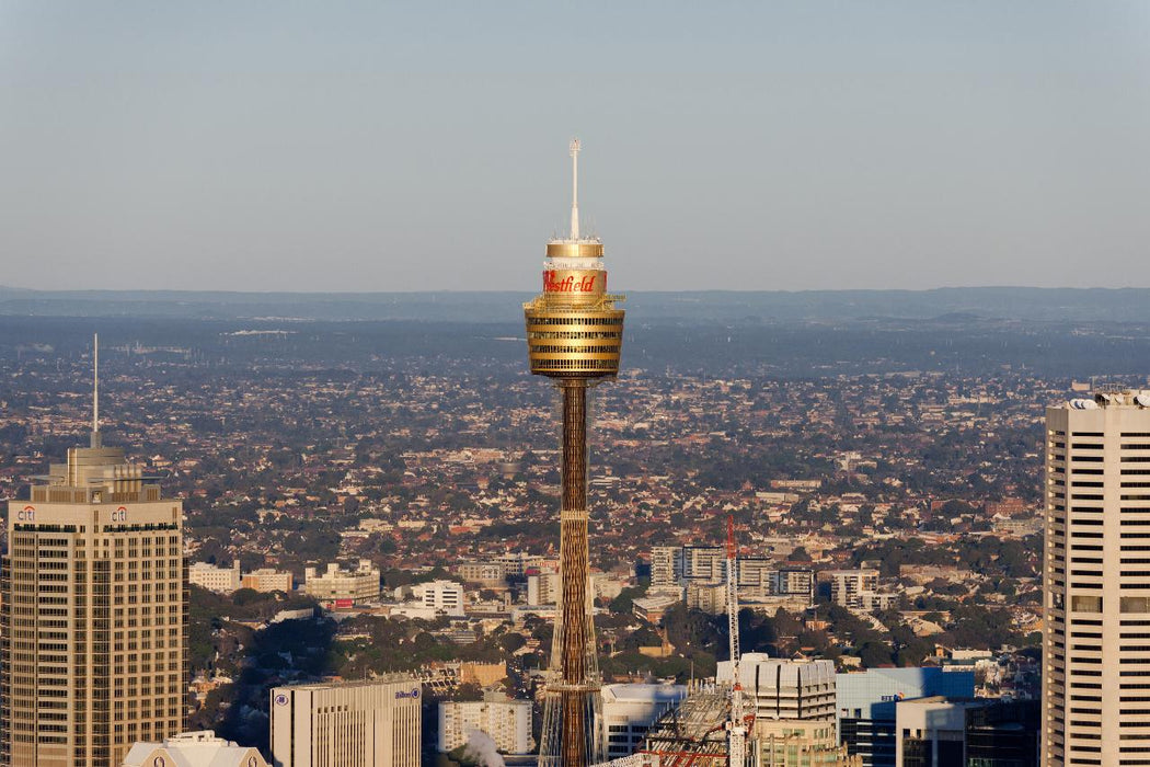 Sydney Tower Eye - Daily Peak - We Wander