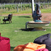 The Real Margaret River Reserve Wines Experience With Tasting Plate - We Wander