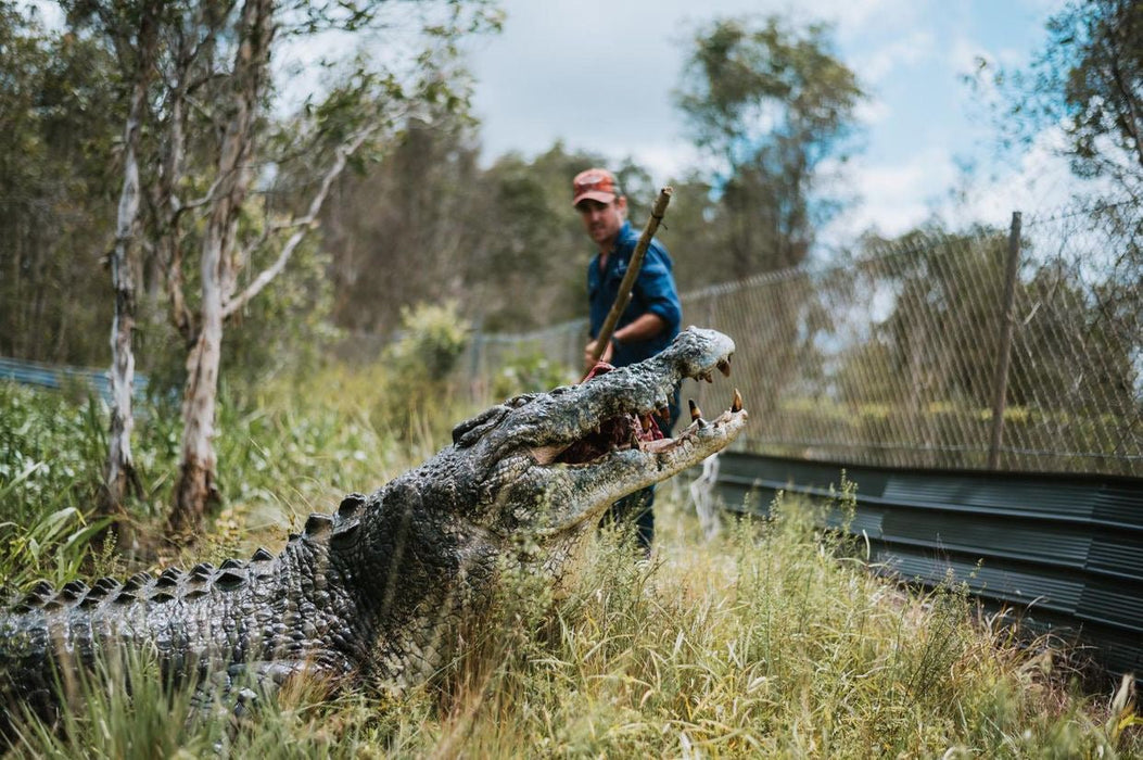 Top End Safari Camp Overnight Tour - We Wander