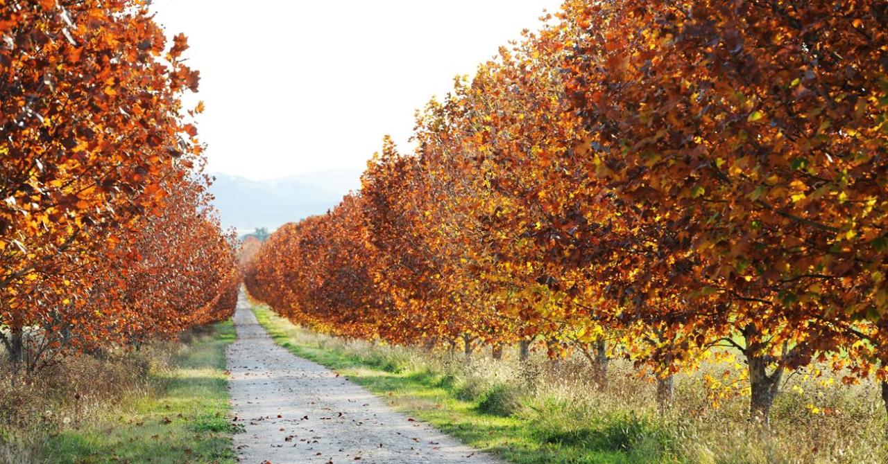 Tour De Mudgee Cellar Door - We Wander