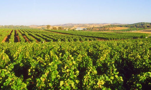 Tour De Mudgee Cellar Door - We Wander