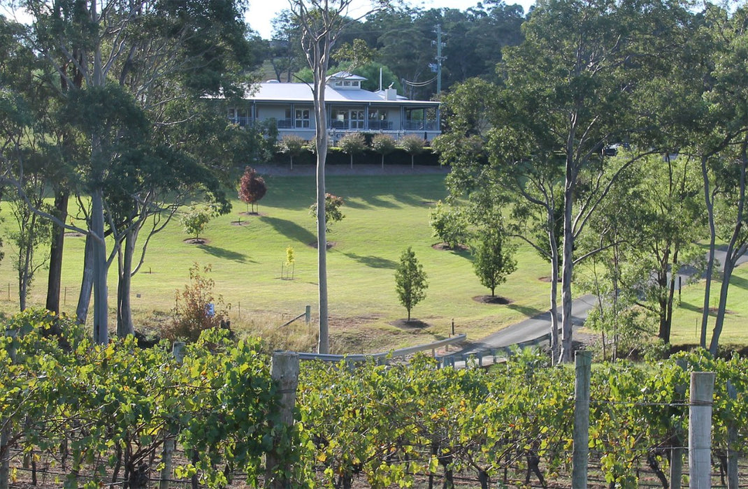 Tulloch Wines - Mystery Wine Tasting Experience With Local Cheese And Charcuterie - We Wander