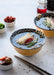 Vegan Cooking Master Class - We Wander
