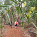 Waterfalls, Wildflowers & Wandoo Hiking Experience - We Wander