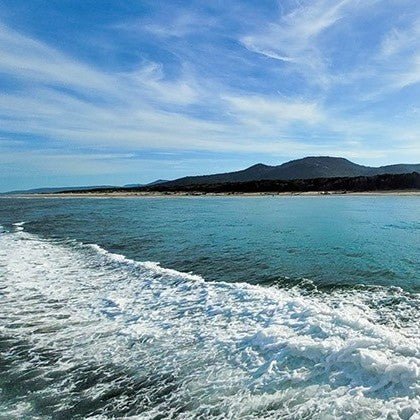 Wilsons Prom – Whale Cruise - Family - We Wander