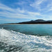 Wilsons Prom – Whale Cruise - Family - We Wander