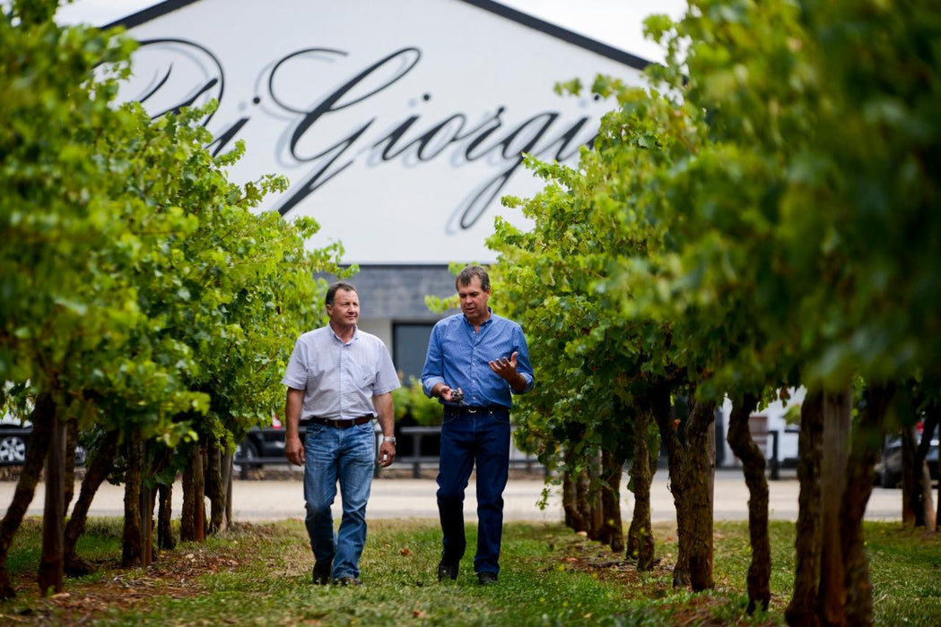 Wine Flight With Six Bites At Digiorgio Family Wines - We Wander