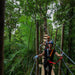 Zipline Tour - We Wander